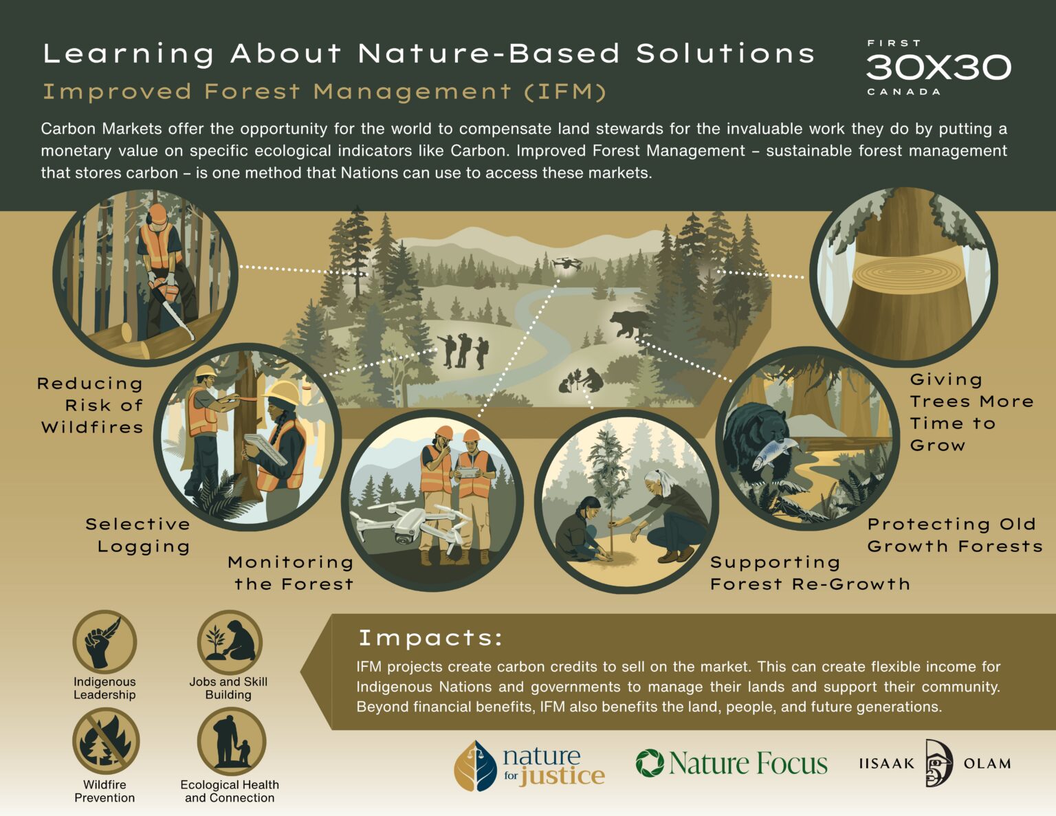 06_IFM Infographic